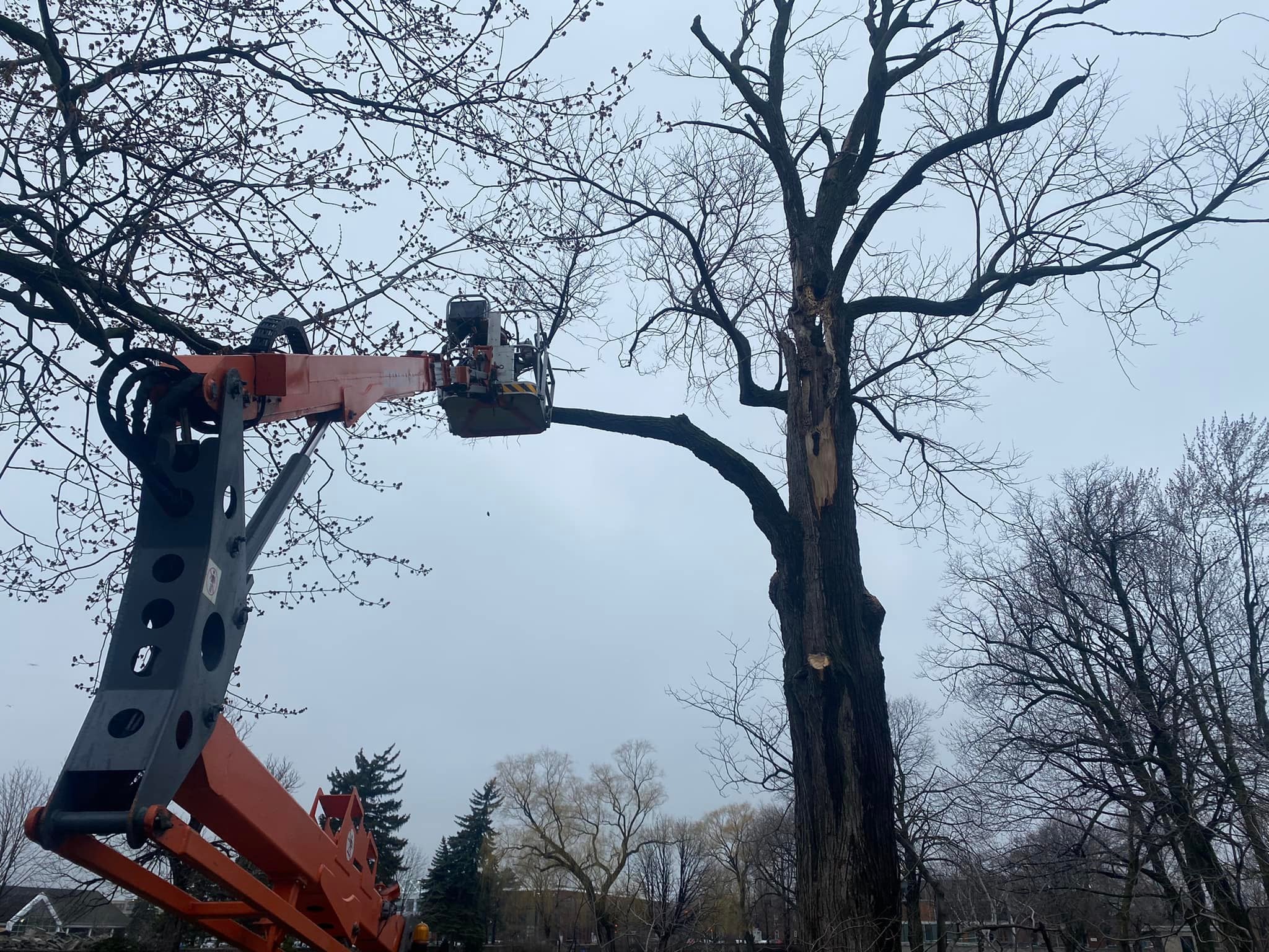What Are the Differences Between Spider Lifts and Traditional Aerial Work Platforms What Are the Differences Between Spider Lifts and Traditional Aerial Work Platforms